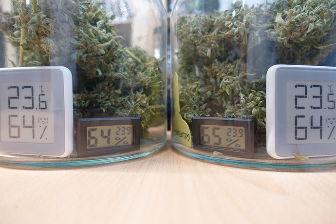Growreport Bild 8