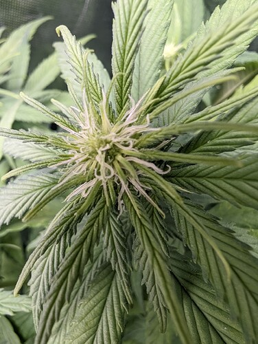 Growreport Bild 5