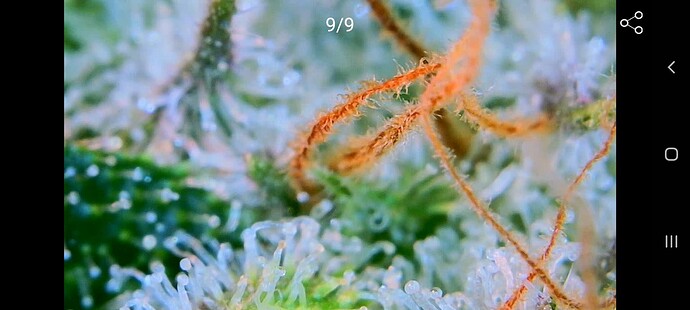 Growreport Bild 7