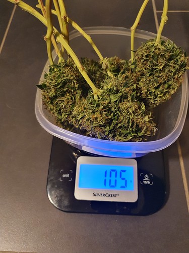 Growreport Bild 6