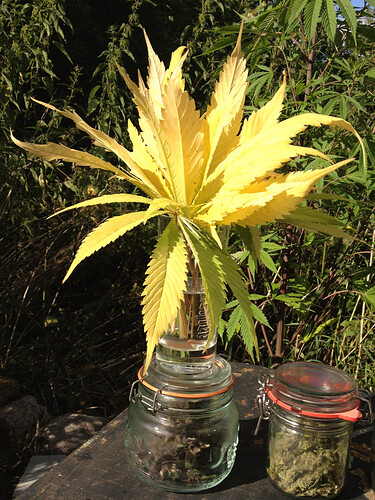 Growreport Bild 29