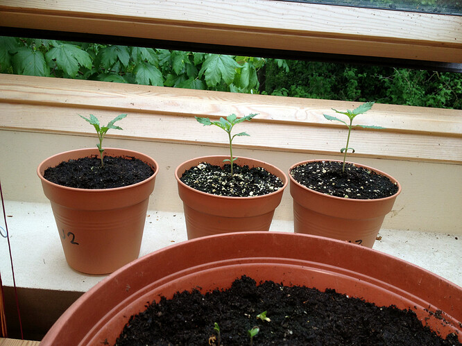 Growreport Bild 101