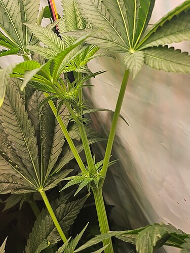 Growreport Bild 24