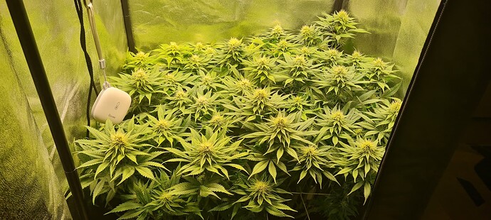 Growreport Bild 1