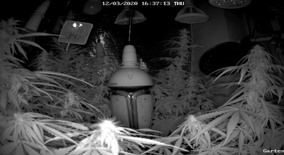 Growreport Bild 8
