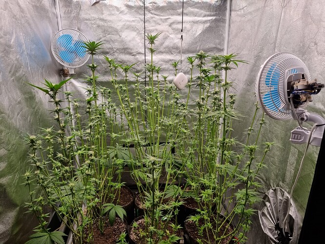 Growreport Bild 28