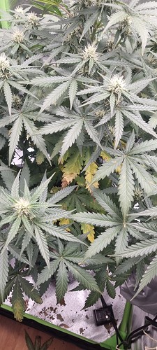 Growreport Bild 10