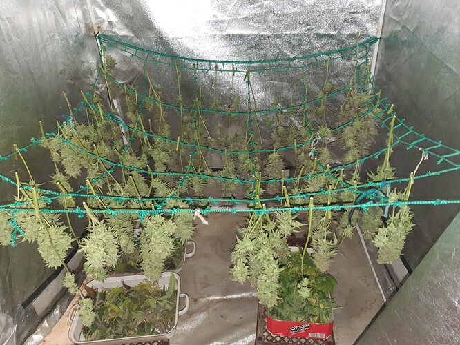 Growreport Bild 11