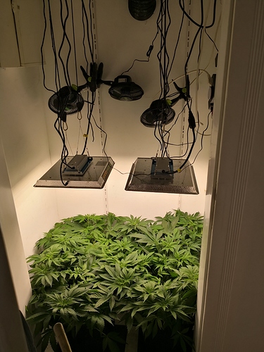 Growreport Bild 2