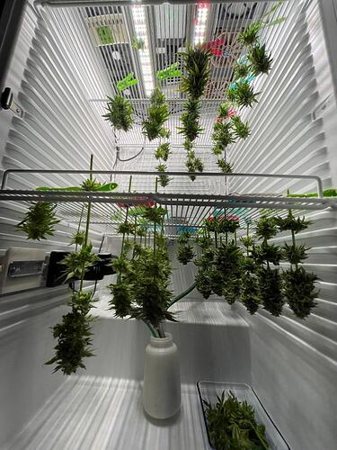 Growreport Bild 15