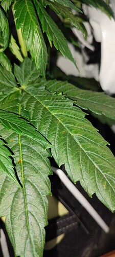 IMG_20221110_205245