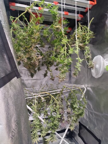 Growreport Bild 5