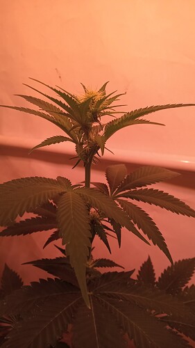 Growreport Bild 15