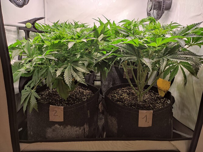 Growreport Bild 8