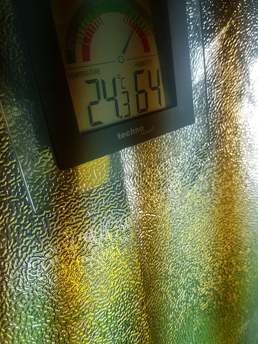 Growreport Bild 8