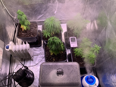 Growreport Bild 11