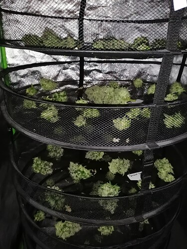 Growreport Bild 21