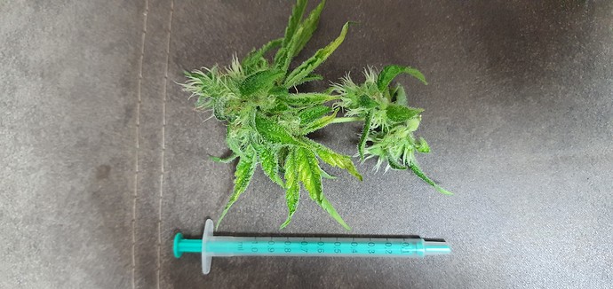 Growreport Bild 4