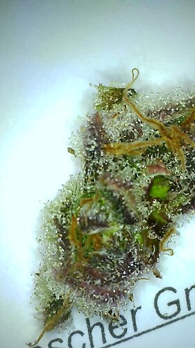 Growreport Bild 18