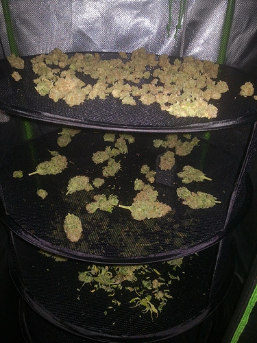 Growreport Bild 1