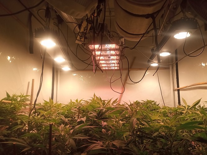 IMG_20210223_203400_748