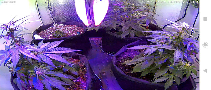 Growreport Bild 8