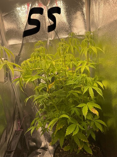 Growreport Bild 1