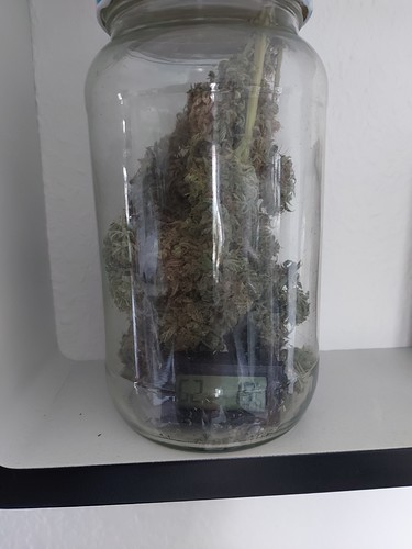 Growreport Bild 1