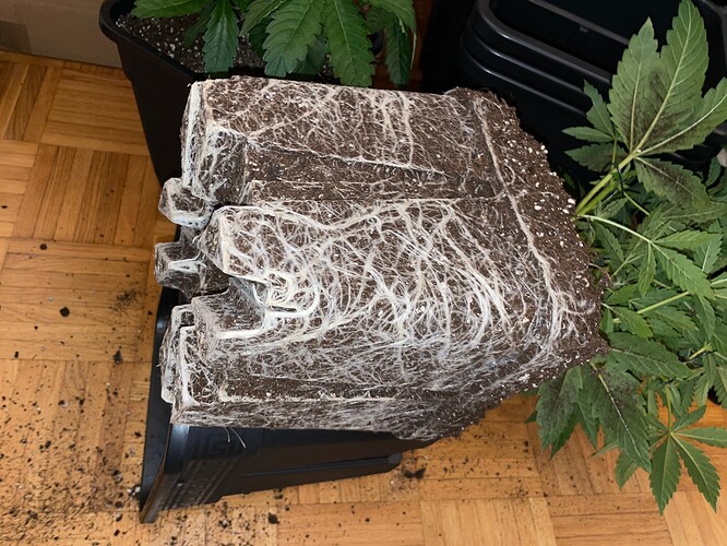Growreport Bild 13