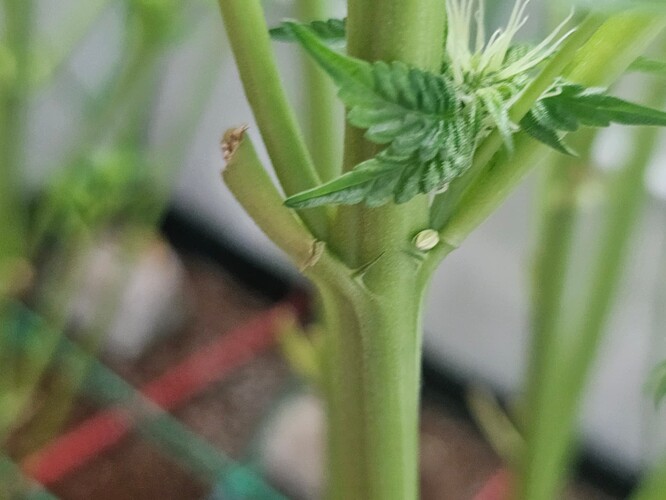 Growreport Bild 8
