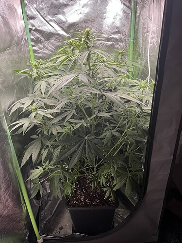 Growreport Bild 1