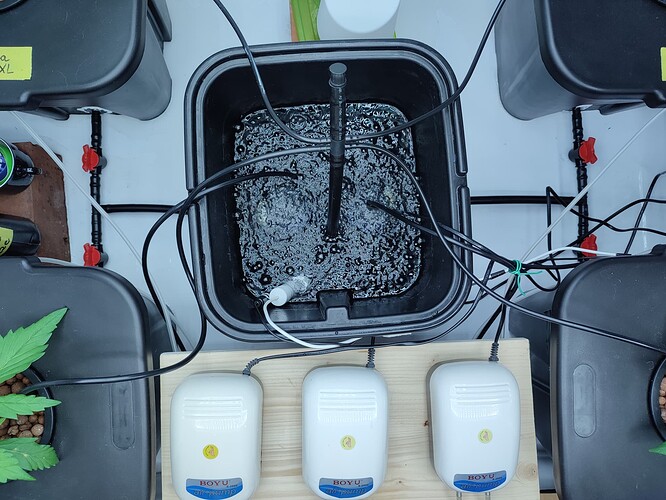 Growreport Bild 27