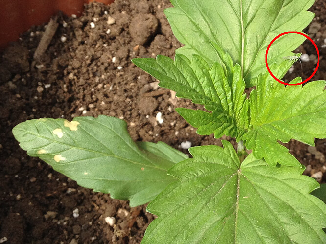 Growreport Bild 65