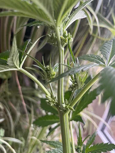Growreport Bild 10