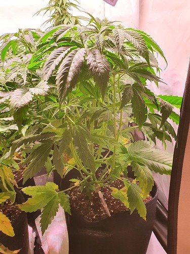 Growreport Bild 9