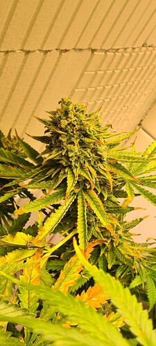 Growreport Bild 14