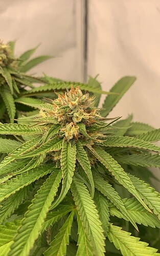 Growreport Bild 13