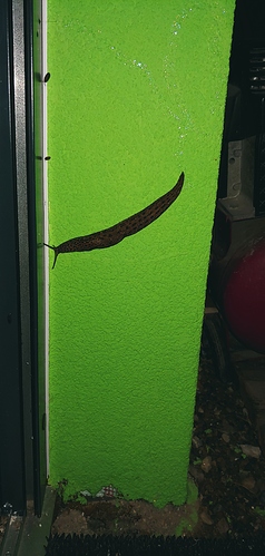 20180716_233610