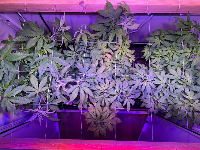 Growreport Bild 10