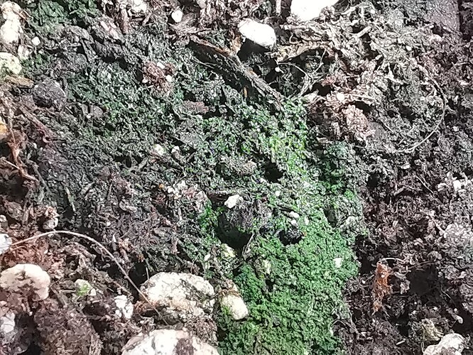 Growreport Bild 21