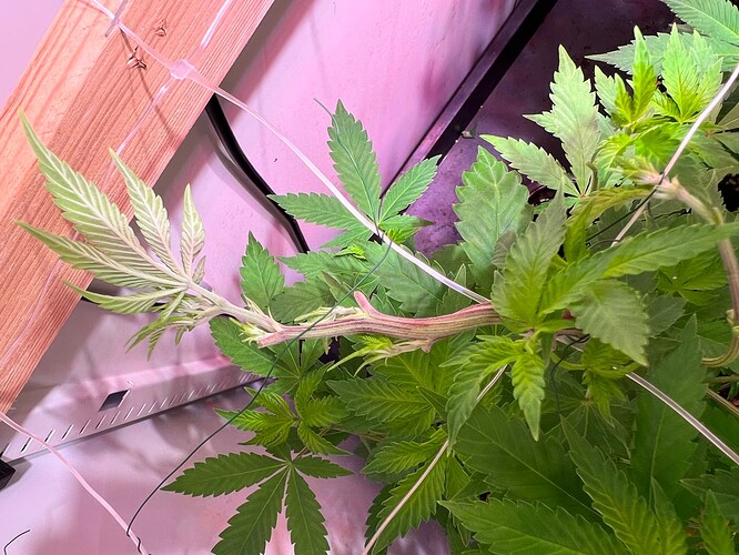 Growreport Bild 10