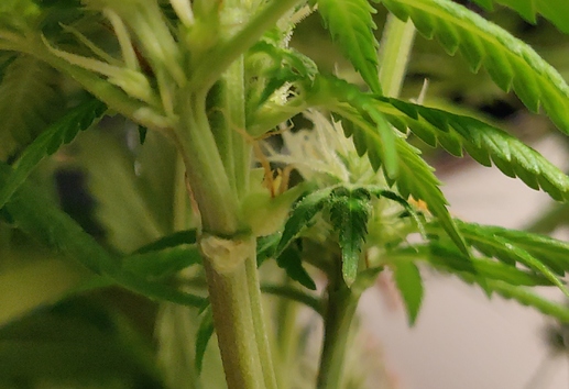 Growreport Bild 14