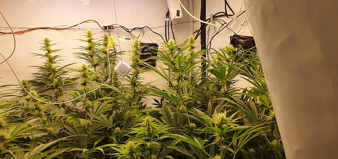 Growreport Bild 2