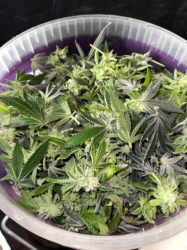 Growreport Bild 23