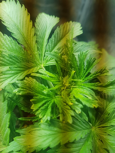 Growreport Bild 22