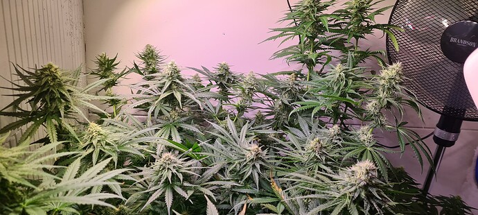 Growreport Bild 14