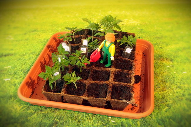 Growreport Bild 13