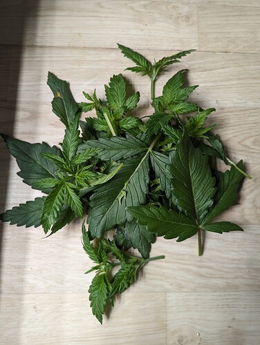 PXL_20231112_153542219