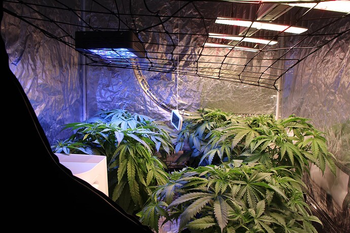 Growreport Bild 11