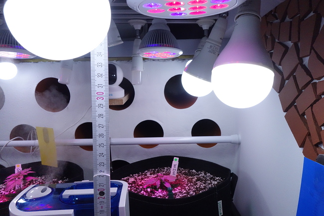 Growreport Bild 24